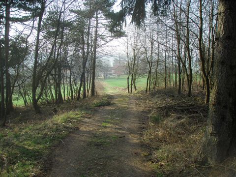 Foto 13
